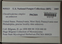 Image Associated With the Occurence